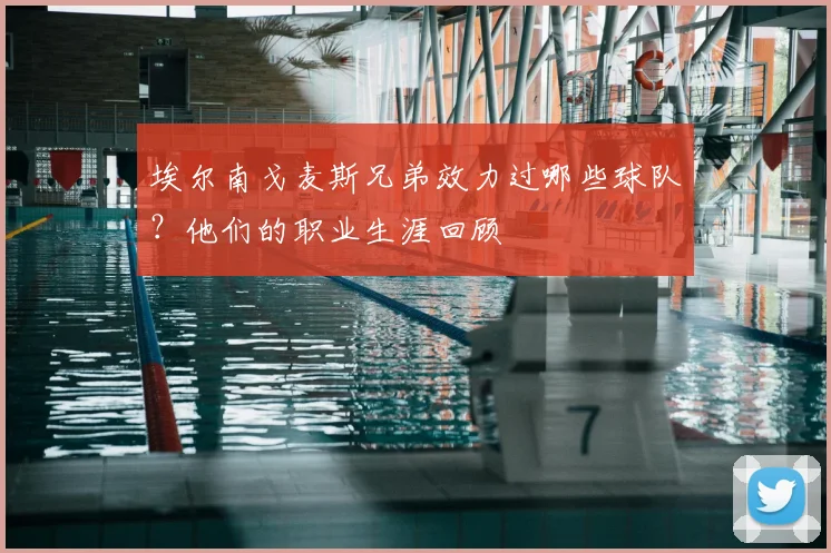 埃尔南戈麦斯兄弟效力过哪些球队？他们的职业生涯回顾