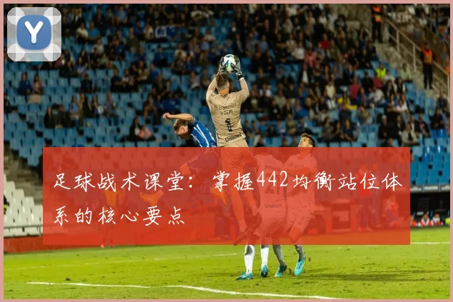 足球战术课堂:掌握442均衡站位体系的核心要点