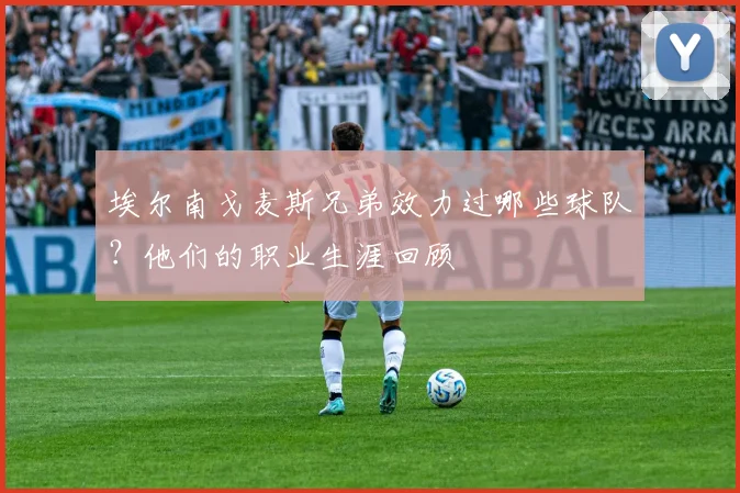 埃尔南戈麦斯兄弟效力过哪些球队？他们的职业生涯回顾